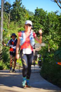 BIB: 
                            <button type="button" onclick="openModal(19338419)" class="btn btn-primary btn-sm float-right btn-popup" data-toggle="modal" data-target=".modal-high-quality">
                        <i class="fas fa-shopping-cart"></i> Add to Cart
                    </button>
                                            <button type="button" onclick="isThisMe(19338419, true)" class="btn btn-success btn-sm float-right btn-popup btn-isme hidden" data-toggle="tooltip" data-placement="bottom" title="นี่คือรูปของคุณใช่ไหม คลิกที่นี่เพื่อเอาเข้าอัลบั้ม">
                        <i class="fas fa-plus"></i> Add to album
                    </button>
                    <button type="button" onclick="isThisMe(19338419, false)" class="btn btn-warning btn-sm float-right btn-popup btn-isnotme hidden">
                        <i class="fas fa-ban"></i> Remove from album
                    </button>